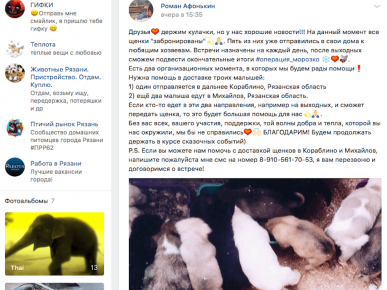 Príspevok VK, kto a kedy vezme šteniatko
