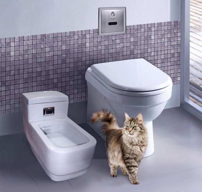 Automatické WC pre mačky