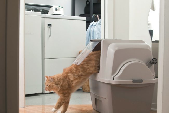 Automatické WC pre mačky