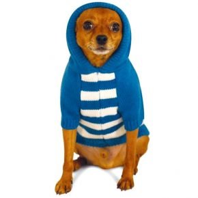 Doggie v bunde s kapucňou