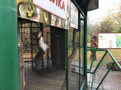 Voliéra s veveričkami